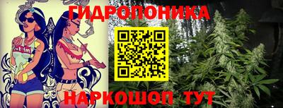 гашик Пенза