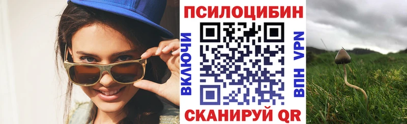 Псилоцибиновые грибы MAGIC MUSHROOMS  ОМГ ОМГ рабочий сайт  Сухой Лог 