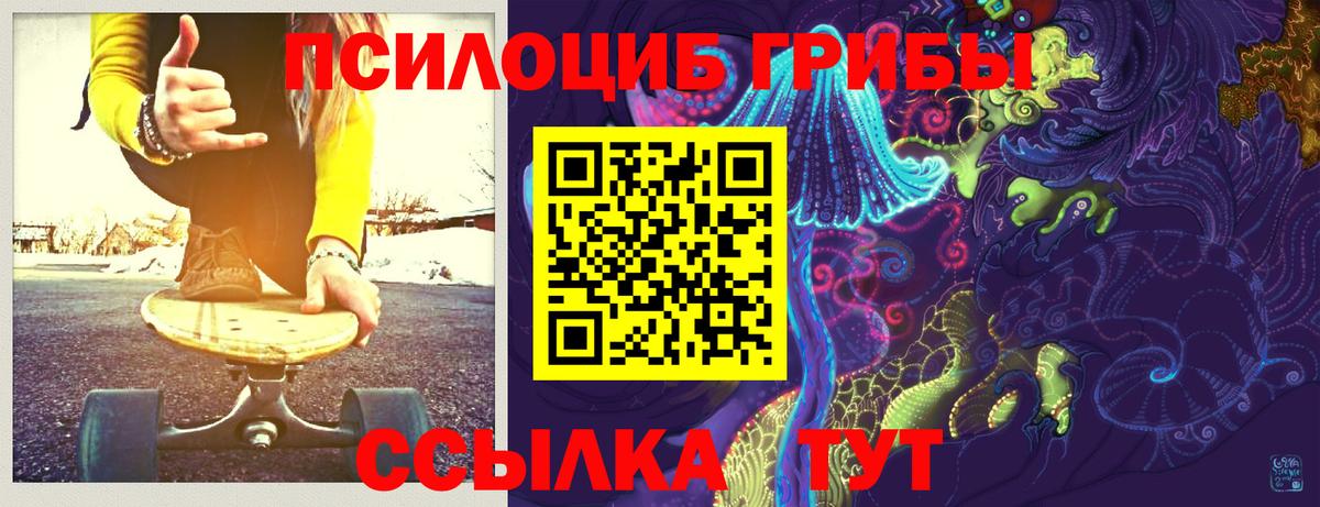 Галлюциногенные грибы мицелий Сухой Лог
