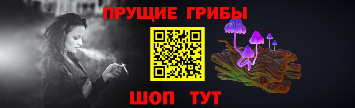 Сухой Лог  Галлюциногенные грибы Cubensis  Вход с VPN  Галлюциногенные грибы мицелий 